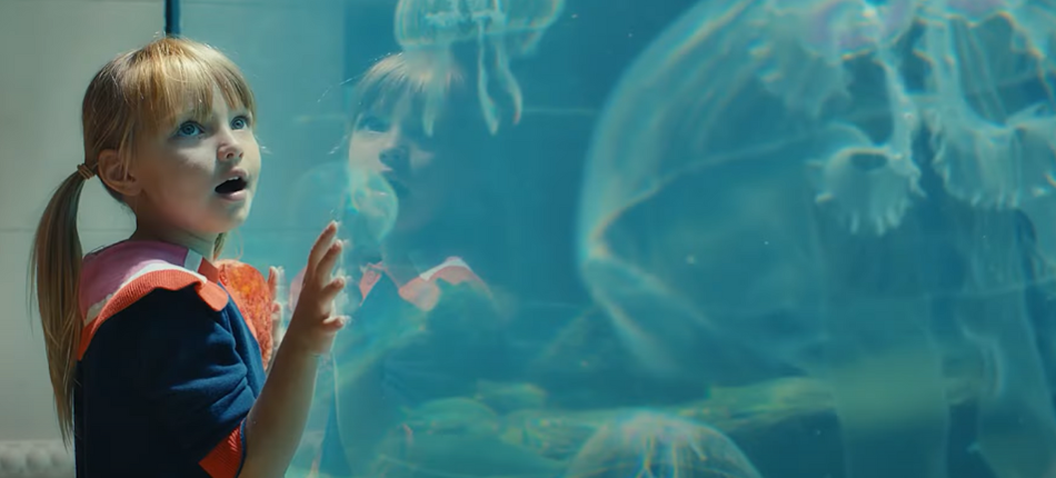 The Discovery of a Lifetime